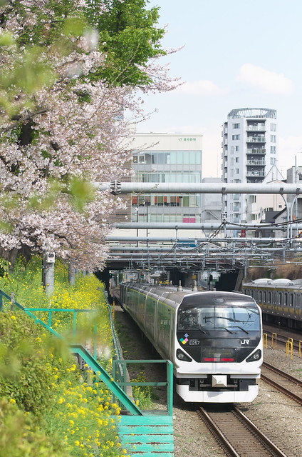 Tokyo Train Story 中央線 2014年4月5日