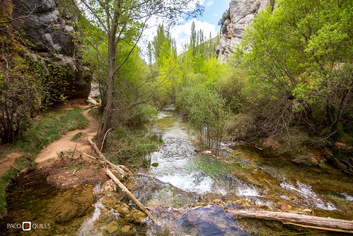 naturaleza verde primavera ruta río agua teruel sendero fluvial aragón elcuervo ebrón estrechos tormón pacoqt pacoquiles ademúz