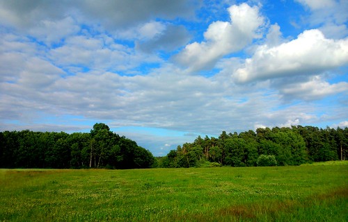 summer sky clouds meadow franconia