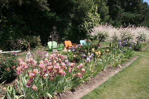 Schreiner's Iris Gardens