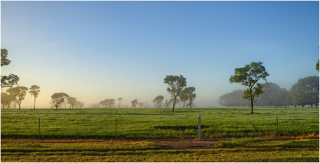 Foggy farmland sunrise - Middle Point, Northern Territory, Australia (processed from 5 bracketed JPEG images with SNS-HDR software)