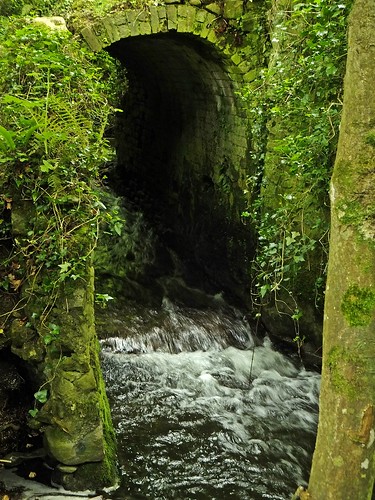 park county trees ireland dublin irish lake nature water river walk falls reservoir waterfalls ward swords dub jacko