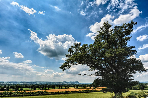 uk trees sky tree nature countryside nikon skies view vista viewpoint d7100 sigma1020mmf35exdchsm iftreescouldfly