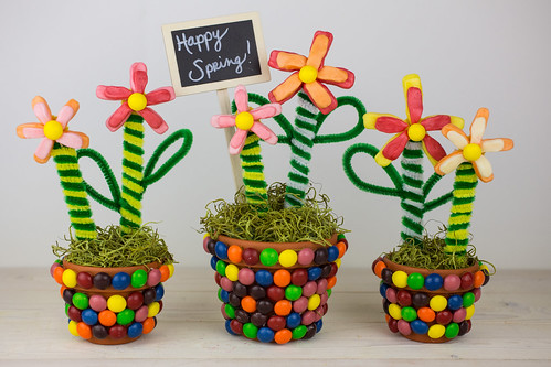 Spring Flower Pot Teacher Gifts #Shop #VIPFruitFlavors