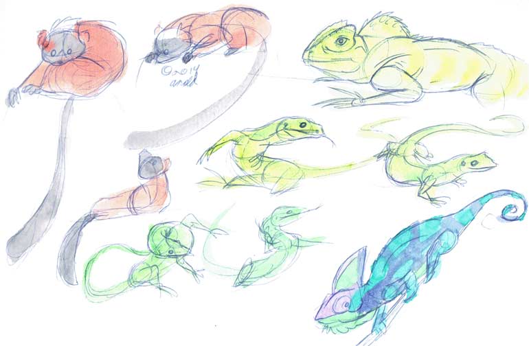5.8.14 - National Zoo Sketches