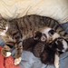 photo (1)