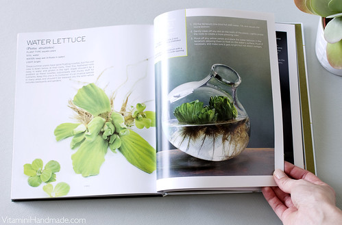 The Plant Recipe Book, by Baylor Chapman