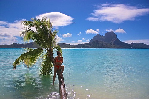 floating tree Bora Bora photo shoot