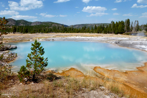 park blue trees light sky orange parco usa hot tree green nature water pool rock pine alberi clouds america landscape us spring sand nuvole unitedstates natural stones natura steam national cielo yellowstone np geyser hotspring acqua paesaggio statiuniti naturale vapore biscuitbasin andreamoscato