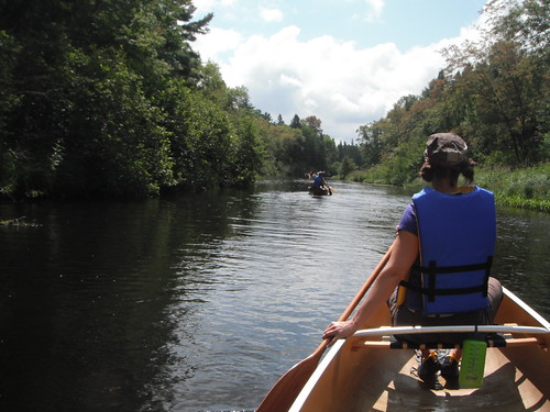 creek canoe canoeing eels