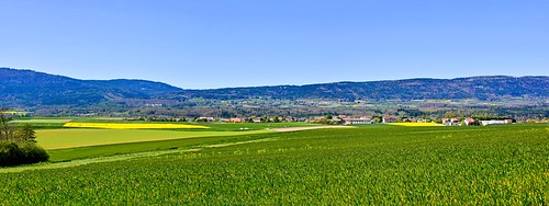 chavannesleveyron vaud suisse cuarnens panorama paysage campagne colza
