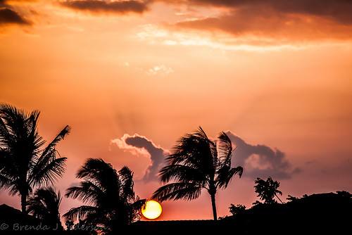 sunset sky tree june clouds hawaii pastel palm bigisland sherbet 2012 maunalani culinaryfool 70200mm28 kulalani brendajpederson