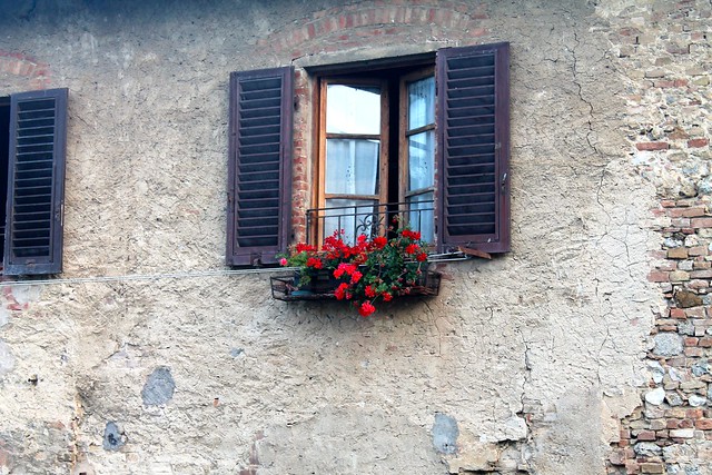 geraniums + Italy