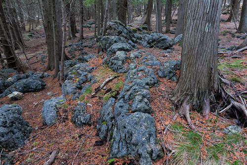 falls conservation bruce trail hiking nature landscape ontario eugenia rocks trees forest flesherton canada ca