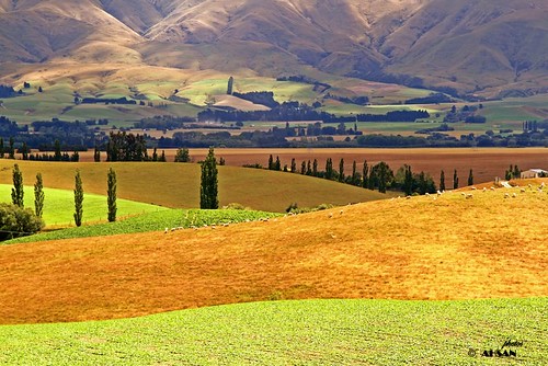 new sun house mountain tree green beautiful beauty grass canon landscape island daylight interesting solitude ray afternoon sheep south zealand valley serenity 7d grazing rown