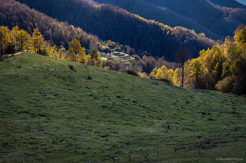 autumn españa sunlight luz landscape paisaje otoño cataluña osona vidrà sal18250