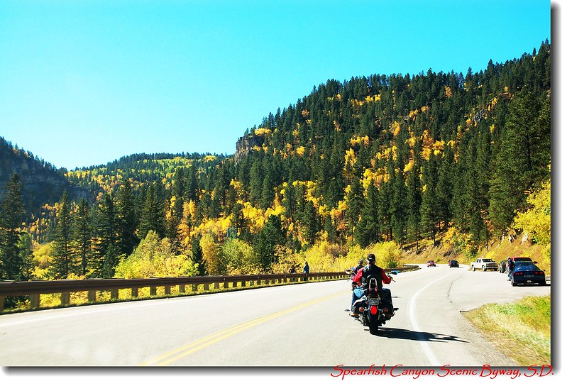 Spearfish Canyon Scenic Byway 11