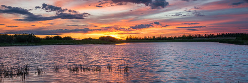 sunset red orange canada reeds pond pano alberta stalbert riel