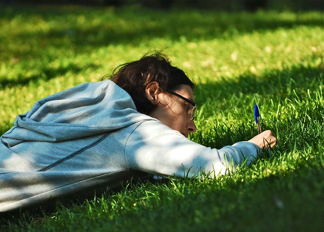 Writing in the grass