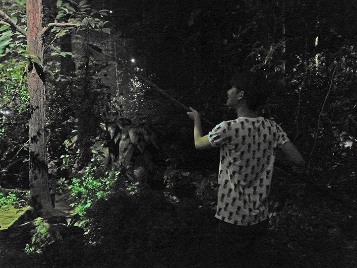 singapore night safari 18