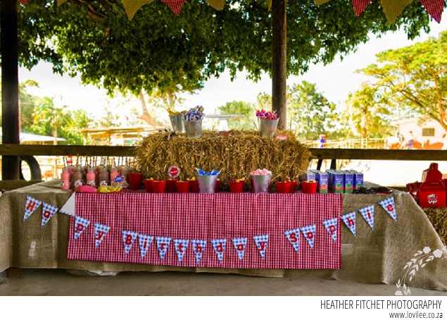 Farmyard Birthday Party