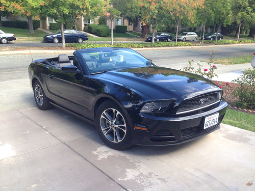 Rental Mustang