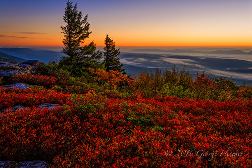 autumn bearrocks colors dollysods sunrise trees westvirginia davis unitedstates