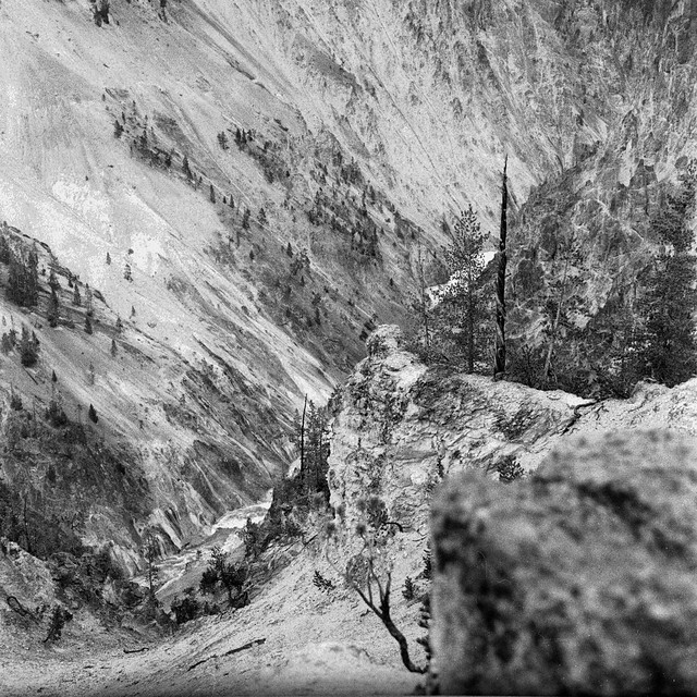 Found Film: Yellowstone Roll 1