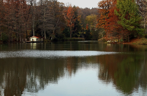 autumn trees lake reflections