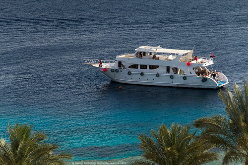 travel vacation swim hotel boat view redsea sightseeing egypt sharmelsheikh sail canon60d continentalgardenreefresort
