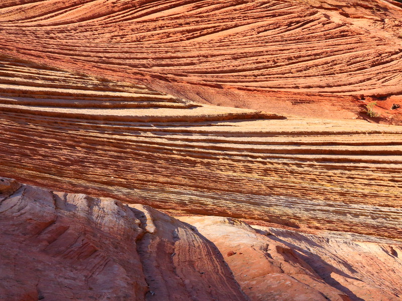 IMG_5660 Swirls of Navajo Sandstone