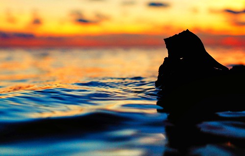 blue sunset orange water silhouette texas ripple shell wave solstice westbay glaveston