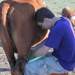 Me milking a cow