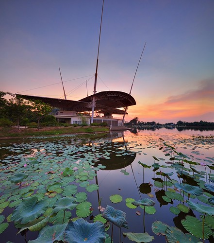 sunset waterlily lotus lakeside lakeview sunsetsunrise teratai cyberjaya lakegarden