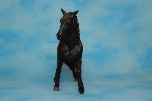 Walkaround of the 2012 Mojö Andalusian Stallions and comparison with Schleich Andalusian 14552558826_97df62fcb9