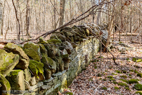canoneos7dmkii eastpoint hermitage hiking landscape longhunterstatepark photography sigma18250mmf3563dcmacrooshsm tennessee tennesseestateparks usa unitedstates winter geo:lat=3612364000 geo:lon=8655376333 geotagged outdoors exif:isospeed=400 camera:model=canoneos7dmarkii camera:make=canon geo:city=hermitage geo:country=unitedstates geo:lat=36123611666667 exif:focallength=18mm geo:state=tennessee geo:location=eastpoint geo:lon=86553888333333 exif:model=canoneos7dmarkii exif:lens=18250mm exif:aperture=ƒ71 exif:make=canon