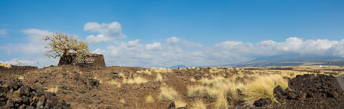 lava rock tree grass road field sky cloud hawaii