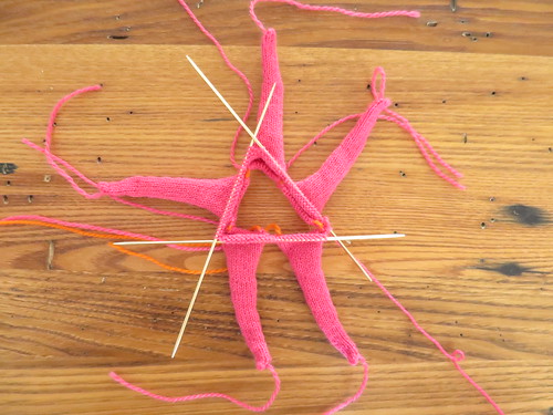 Seamless Knit Starfish