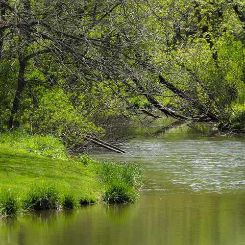 park nature water minnesota river spring midwest scenery scenic whitewaterriver whitewaterstatepark