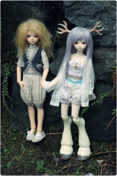 Two shy forest dwellers