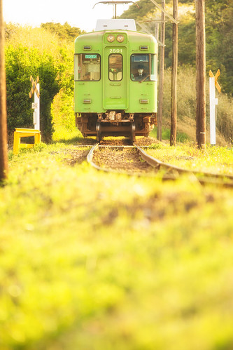 railroad morning green japan train crossing railway 緑 朝 鉄道 ローカル線 localline 銚子電鉄 踏み切り