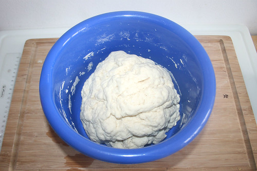 28 - Teig aufgegangen / Raised dough