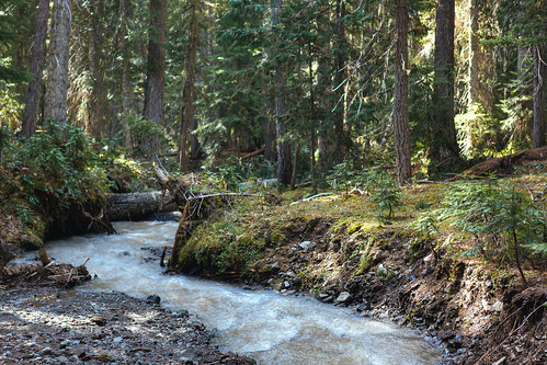 stream pacificnorthwest nature forest trees depthoffield dof canon flow motion rocks canoneos5dmarkiii canonef2470mmf28lusm washington johnwestrock