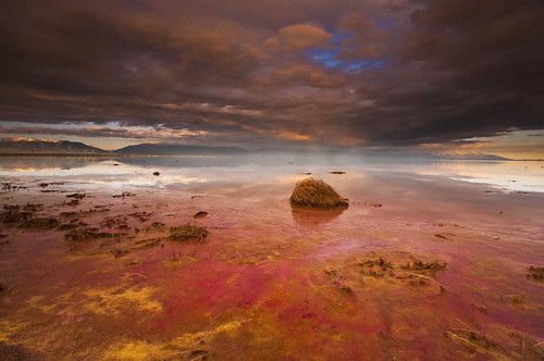sunset beach water colors clouds utah nikon antelopeisland greatsaltlake algae reds tamron