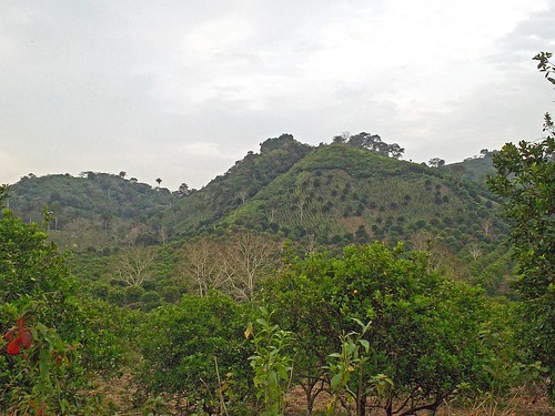 terrain rural mexico hills veracruz rugged tuxpan ilobsterit