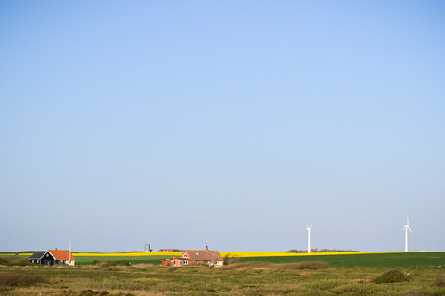 denmark view windmills rapeseed ferring bovbjerg