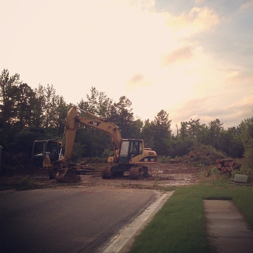 Goodbye, woods at the end of the street. You will be missed! :(