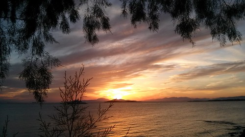 sunset sea sun tree walking peace shot greece capture attica kavouri thisphotorocks lgl9iimobilephone