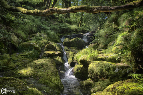 waterfall dartmoor dartmoornationalpark dartmoorwaterfall