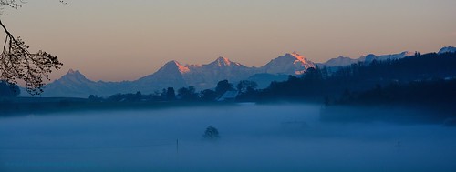 sunset fog schweiz switzerland soleil photo nikon nebel suisse foggy bleu arbres fribourg paysages brouillard brume photographe courtepin d7100 fribourgois nikonflickaward courlevon chandossel
